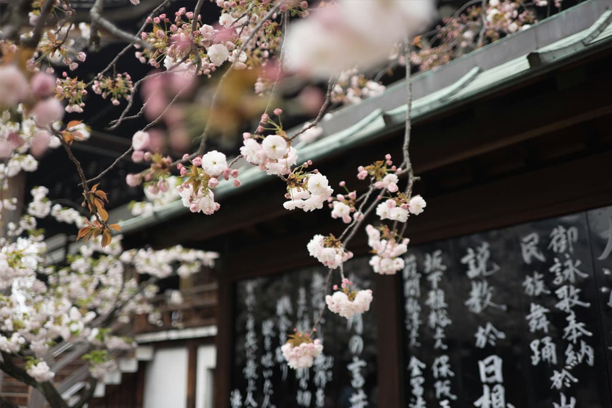 Essential Japanese Grammar Rules for Beginners