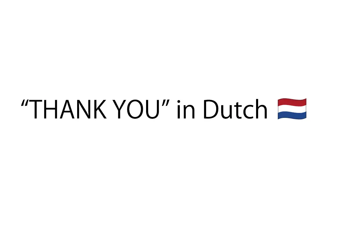 dutch language thank you