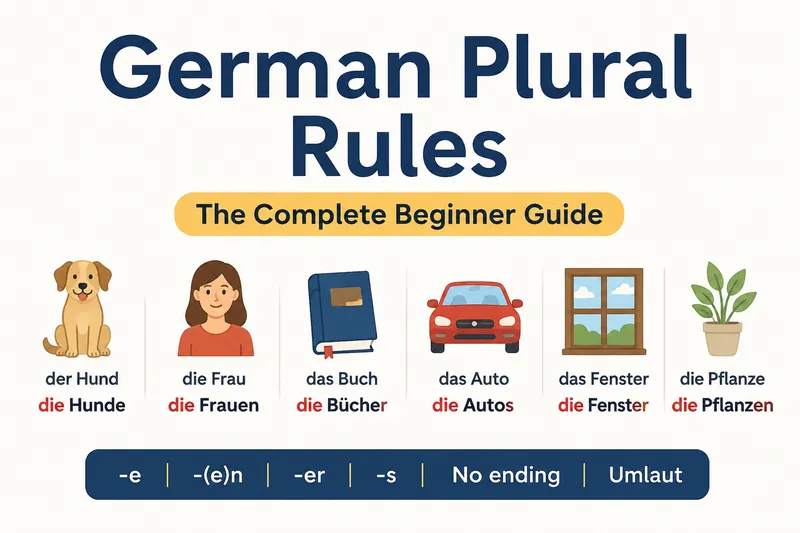 German plural rules with common plural endings and examples