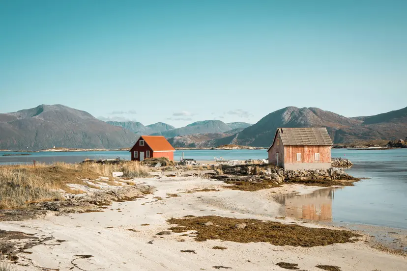 Bad Words in Norwegian: Swear Like a Native