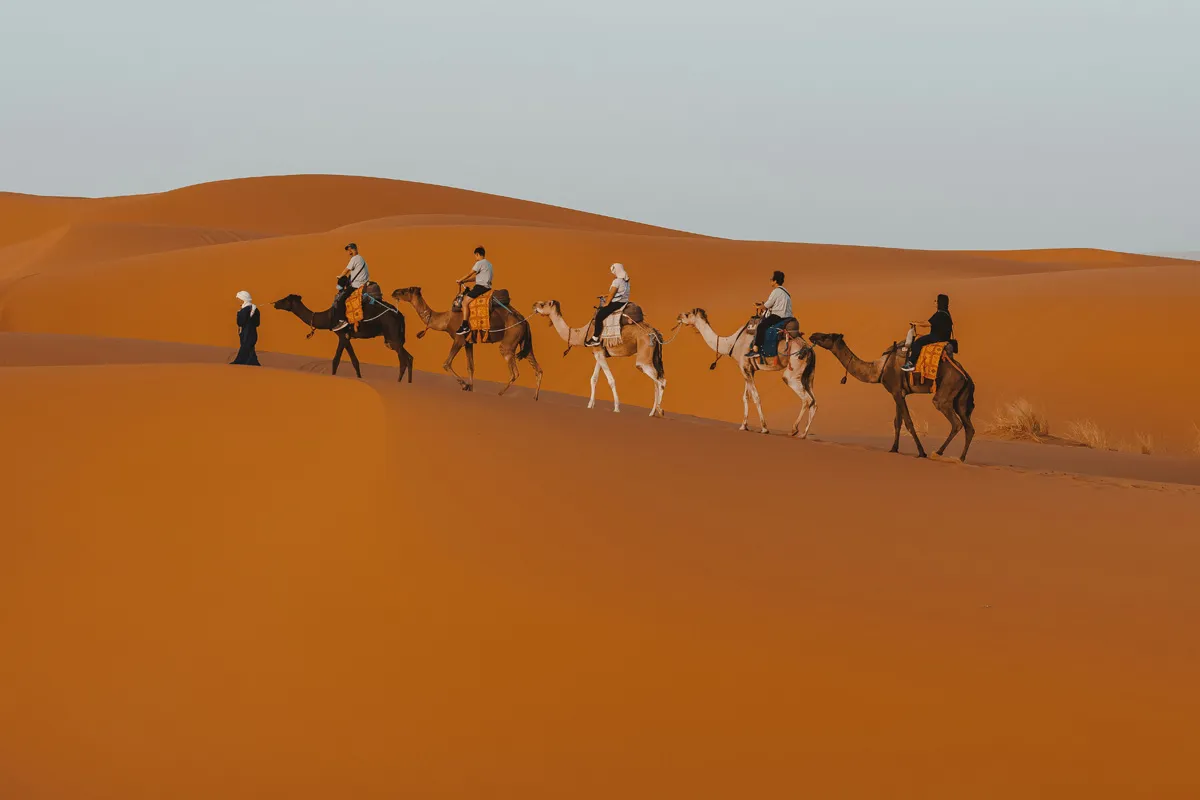 Online Arabic course visual with text and headset