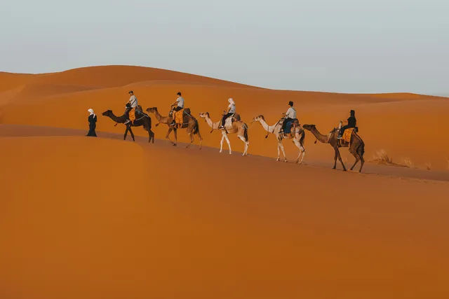 Top Online Arabic Courses to Learn from Home (2025)