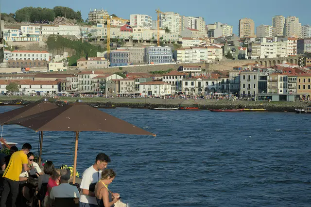 Portuguese Language Words You’ll Actually Use